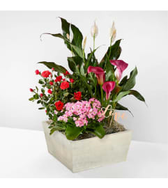 Mixed garden. An arrangement by Fresh Cut Bouquets.