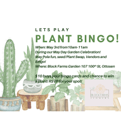 Plant Bingo. An arrangement by Block Farms Flowers.