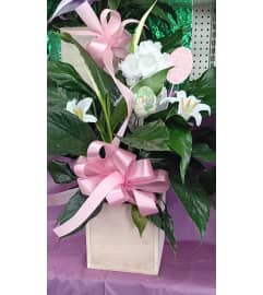 Easter Peace Lily Delight. An arrangement by Howard Beach Florist.