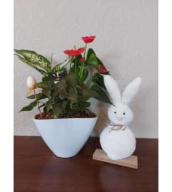 Everybunny Needs Somebunny. An arrangement by Loyalist Flowers.