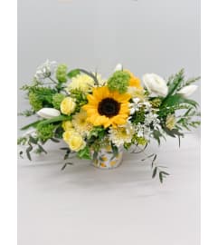 Limoncello Mama Mia. An arrangement by Grande Prairie Florist.