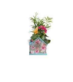 Birdhouse Planter. An arrangement by Marianna's Flower Island.