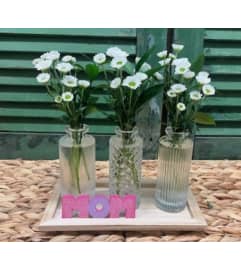 Daisy Hugs for Mom. An arrangement by Forest Florist.