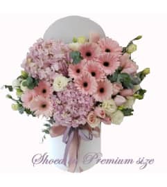 Dreamy Daisy Delight. An arrangement by Geni's Florist and Gifts.