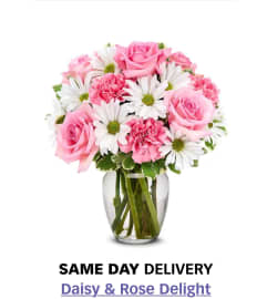 Daisy and Rose Delight. An arrangement by Butterflies Flower Shop.