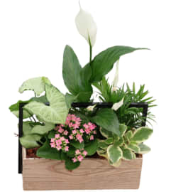 Blooming Garden. An arrangement by Harriet's Flower and Gift Shop.