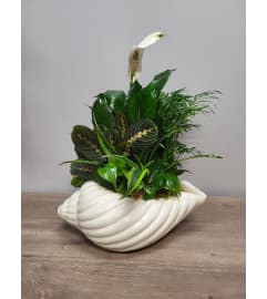 Floridian Foliage. An arrangement by The Farmers Petals.