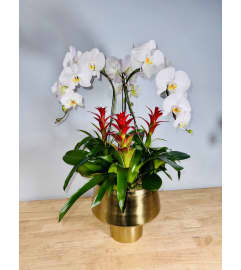 Triple the Beauty. An arrangement by The Flower Patch Florist.