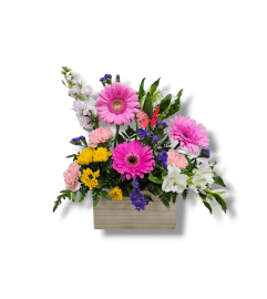 Radiant Spring Embrace. An arrangement by Balloon Bouquets Plus. Radiant Spring Embrace. An arrangement by Balloon Bouquets Plus.