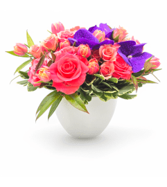 Orchid Symphony Vase. An arrangement by Appleblossoms.