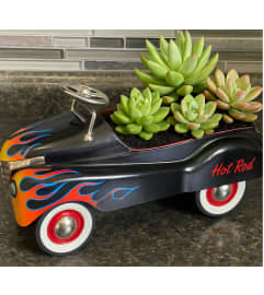 Succulent Hot Rod Planter. An arrangement by Tom's Florist.