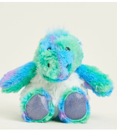 Rainbow Dinosaur Warmies Juniors. An arrangement by Love Floral.