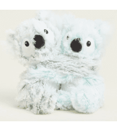 Koala Hugs Warmies. An arrangement by Love Floral.