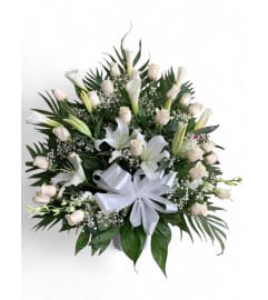 First Impression. An arrangement by Cinderella's Flowers.