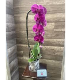 Elegant Fuchsia Orchid. An arrangement by Sonia's Florist.