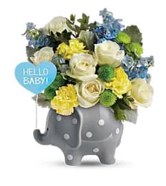 Teleflora's Hello Sweet Baby - Blue. An arrangement by Believe Flowers.