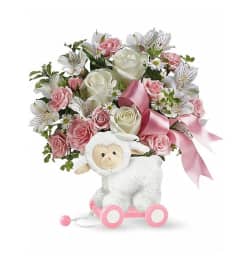 Teleflora's Sweet Little Lamb - Baby Pink. An arrangement by Believe Flowers.
