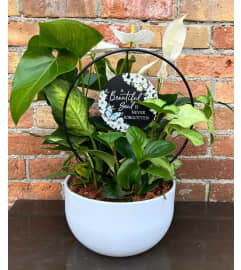 'By Design' A Beautiful Soul Garden. An arrangement by Flowers By Design.