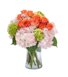 Beauty In Blossom. An arrangement by Deer Valley Florist and Flower Delivery.
