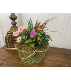 Blooming Sympathy Floral Baskets (small - medium). An arrangement by The Flower Box Florist.