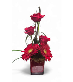 Nature's Balance Arrangement. An arrangement by Balloon Bouquets Plus. Nature's Balance Arrangement. An arrangement by Balloon Bouquets Plus.