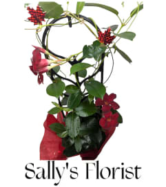 Sally’s Maple Kiss Climber. An arrangement by Triple A Florist. Sally’s Maple Kiss Climber. An arrangement by Triple A Florist.