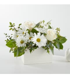 Fresh Linen BoX. An arrangement by North Liberty Flower Shop.