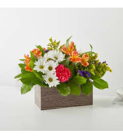 Oopsie Daisy Box. An arrangement by North Liberty Flower Shop.