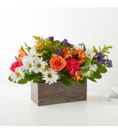 Oopsie Daisy Box. An arrangement by Sueppel's Flowers.