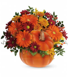 Country Pumpkin. An arrangement by Jennifer's Flowers and Gifts. Country Pumpkin. An arrangement by Jennifer's Flowers and Gifts.
