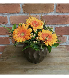 'By Design' Fall Gerbera Pot. An arrangement by Flowers By Design.