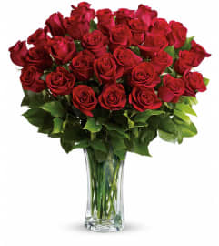 Love and Devotion - 24 Stemmed Red Roses TRS01-1A. An arrangement by Jennifer's Flowers and Gifts.