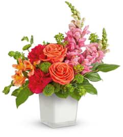 Citrus Sunset Bouquet TEV75-5A. An arrangement by Jennifer's Flowers and Gifts.