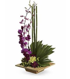 Zen Artistry PM T81-1A. An arrangement by Jennifer's Flowers and Gifts.