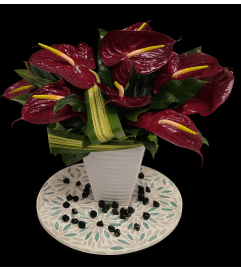 Red Anthurium Eclectic. An arrangement by Brickell Exclusive Blooms.