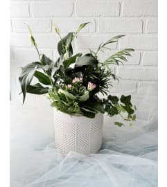 White ceramic Dish Garden. An arrangement by Brooklin Floral and Garden Shoppe Inc..