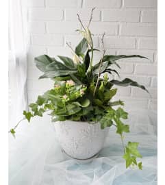 White ceramic with maple leaf tropical planter. An arrangement by Brooklin Floral and Garden Shoppe Inc..