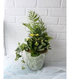 green leaf pattern Tropical planter. An arrangement by Brooklin Floral and Garden Shoppe Inc..