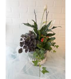 Black/white glazed tropical planter. An arrangement by Brooklin Floral and Garden Shoppe Inc..