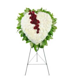 Sympathetic Heart JFN1185. An arrangement by Jennifer's Flowers and Gifts.