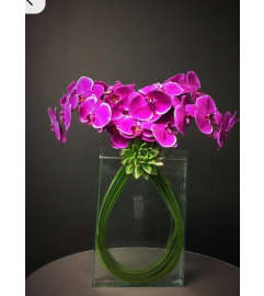 Phalaenopsis and Succulents Unique. An arrangement by Doral Flower District and Design.