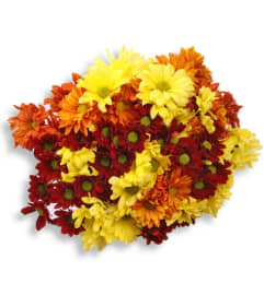 Seasonal Flower Cut Flower Bouquet. An arrangement by The Village Green Florist.