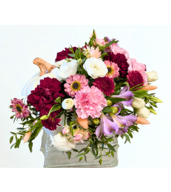 Celestial Moonkin. An arrangement by My Secret Garden.