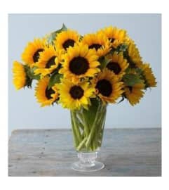 Rise and Shine Unique. An arrangement by Brickell Exclusive Blooms.