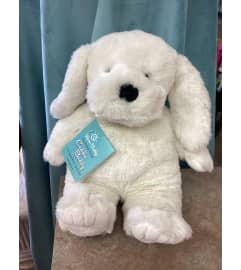 Snoopy Warm Buddy. An arrangement by Roma Flowers and Gifts.