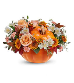 Hello Pumpkin. An arrangement by Aurora Greenhouse.