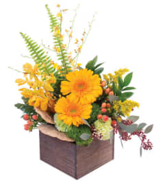 EARTHY INDULGENCE FLORAL ARRANGEMENT. An arrangement by Aurora Greenhouse.