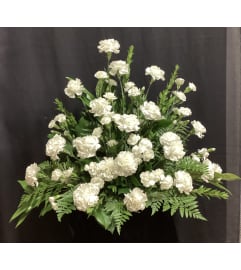 White Cloud. An arrangement by Roma Flowers and Gifts.