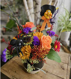 Happy Witch. An arrangement by Donato's Floral. Happy Witch. An arrangement by Donato's Floral.