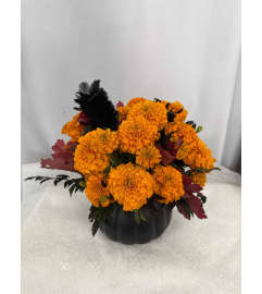 Midnight Marigold Charm. An arrangement by Commerce Flowers. Midnight Marigold Charm. An arrangement by Commerce Flowers.